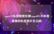 oppor11私密相册在哪(oppoR11手机相册里的私密照片怎么找)