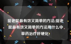 捉老鼠最有效又简单的方法(捉老鼠最有效又简单的方法用什么中草药治疗肝硬化)