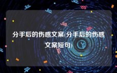 分手后的伤感文案(分手后的伤感文案短句)