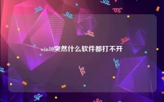 win10突然什么软件都打不开