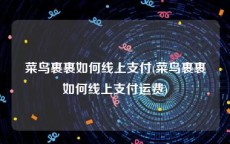 菜鸟裹裹如何线上支付(菜鸟裹裹如何线上支付运费)