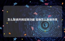 怎么取消共同花呗功能 花呗怎么取消共享