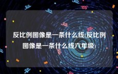 反比例图像是一条什么线(反比例图像是一条什么线六年级)