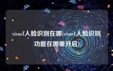 vivos1人脸识别在哪(vivos1人脸识别功能在哪里开启)