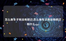 怎么查车子有没有修过(怎么查车子有没有修过有什么app)