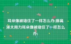 耳朵像被堵住了一样怎么办(擤鼻涕太用力耳朵像被堵住了一样怎么办)