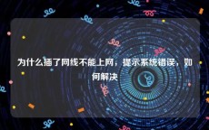 为什么插了网线不能上网，提示系统错误，如何解决