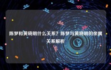 陈梦和黄晓明什么关系？陈梦与黄晓明的亲属关系解析