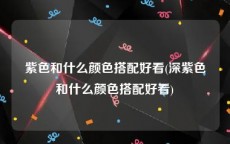 紫色和什么颜色搭配好看(深紫色和什么颜色搭配好看)