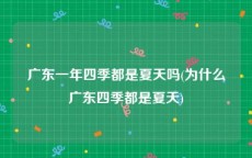 广东一年四季都是夏天吗(为什么广东四季都是夏天)