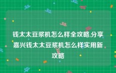 钱太太豆浆机怎么样全攻略,分享嘉兴钱太太豆浆机怎么样实用新攻略