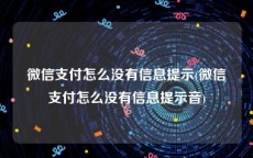 微信支付怎么没有信息提示(微信支付怎么没有信息提示音)