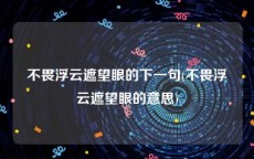 不畏浮云遮望眼的下一句(不畏浮云遮望眼的意思)