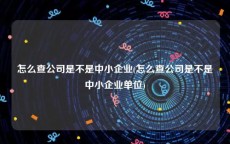 怎么查公司是不是中小企业(怎么查公司是不是中小企业单位)