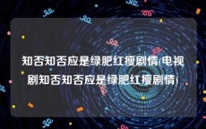 知否知否应是绿肥红瘦剧情(电视剧知否知否应是绿肥红瘦剧情)