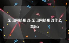 圣母网络用词(圣母网络用词什么意思)