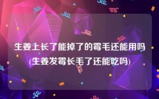 生姜上长了能掉了的霉毛还能用吗(生姜发霉长毛了还能吃吗)