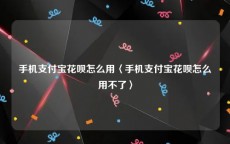 手机支付宝花呗怎么用〈手机支付宝花呗怎么用不了〉