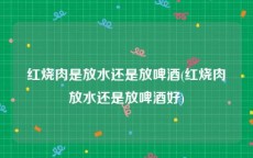 红烧肉是放水还是放啤酒(红烧肉放水还是放啤酒好)