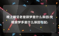 晚上睡觉老是做梦是什么原因(夜晚做梦多是什么原因引起)