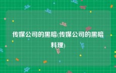 传媒公司的黑暗(传媒公司的黑暗料理)