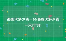 西施犬多少钱一只(西施犬多少钱一只3个月)