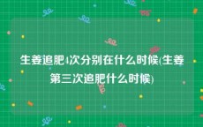 生姜追肥4次分别在什么时候(生姜第三次追肥什么时候)