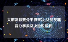 女朋友非要分手很坚决(女朋友非要分手很坚决她说爱我)