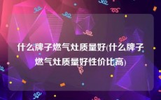 什么牌子燃气灶质量好(什么牌子燃气灶质量好性价比高)