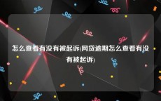 怎么查看有没有被起诉(网贷逾期怎么查看有没有被起诉)