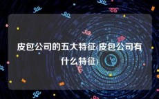 皮包公司的五大特征(皮包公司有什么特征)