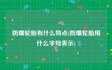 防爆轮胎有什么特点(防爆轮胎用什么字母表示)