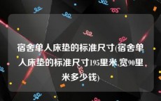 宿舍单人床垫的标准尺寸(宿舍单人床垫的标准尺寸195里米,宽90里米多少钱)