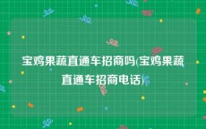 宝鸡果蔬直通车招商吗(宝鸡果蔬直通车招商电话)