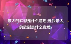 最大的欣慰是什么意思(是我最大的欣慰是什么意思)