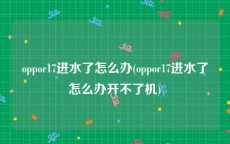 oppor17进水了怎么办(oppor17进水了怎么办开不了机)