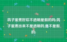 鸽子蛋煮好后不透明是假的吗(鸽子蛋煮出来不是透明的,是不是假的)