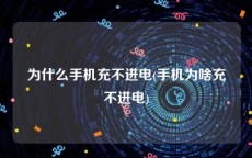 为什么手机充不进电(手机为啥充不进电)