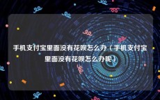 手机支付宝里面没有花呗怎么办〈手机支付宝里面没有花呗怎么办呢〉