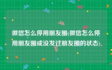 微信怎么停用朋友圈(微信怎么停用朋友圈成没发过朋友圈的状态)