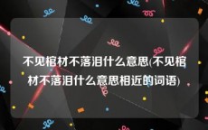 不见棺材不落泪什么意思(不见棺材不落泪什么意思相近的词语)