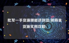 批发一手货源哪能进到货(微商拿货源实用攻略)