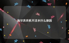 海尔洗衣机不注水什么原因