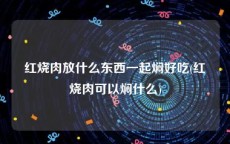 红烧肉放什么东西一起焖好吃(红烧肉可以焖什么)