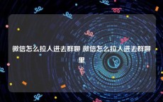 微信怎么拉人进去群聊 微信怎么拉人进去群聊里