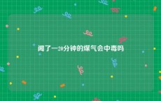 闻了一20分钟的煤气会中毒吗