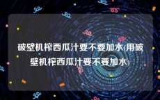 破壁机榨西瓜汁要不要加水(用破壁机榨西瓜汁要不要加水)