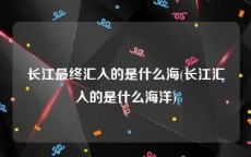 长江最终汇入的是什么海(长江汇入的是什么海洋)