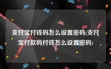 支付宝付钱码怎么设置密码(支付宝付款码付钱怎么设置密码)