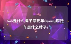 fosti是什么牌子摩托车(hyosung摩托车是什么牌子)